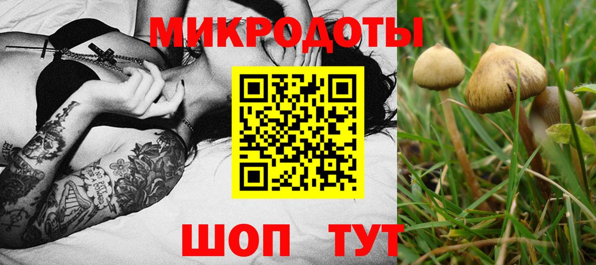 Псилоцибиновые грибы Magic Shrooms Зерноград
