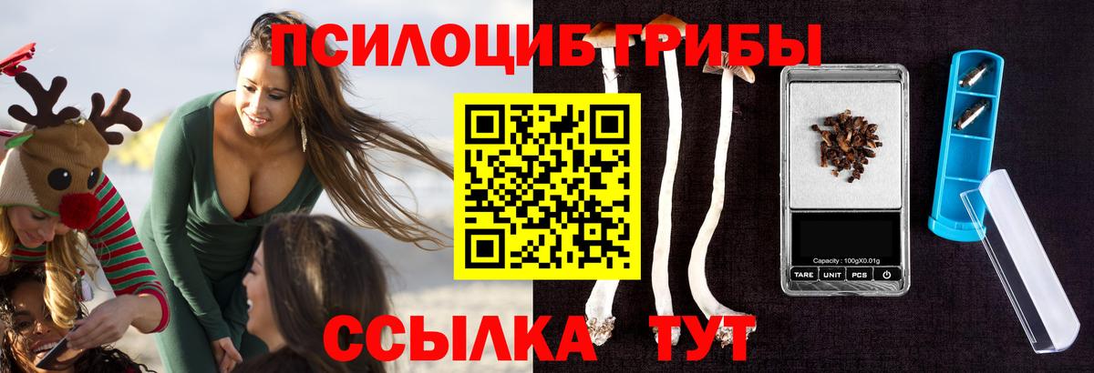 Галлюциногенные грибы Cubensis  Вход с VPN  Зерноград 