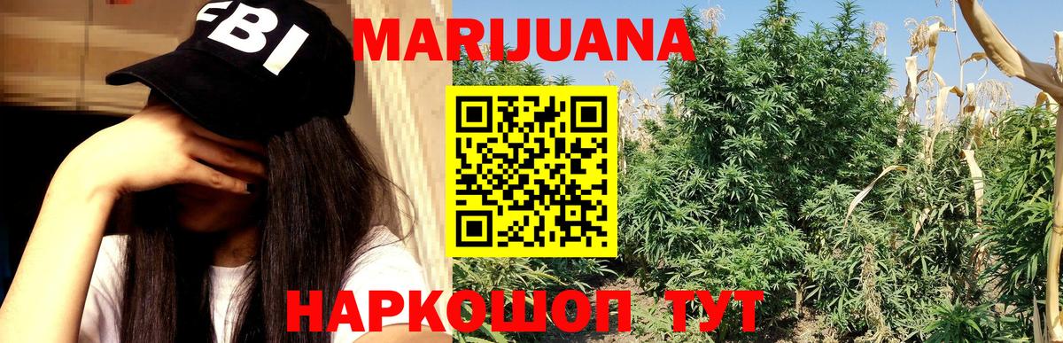 Бошки Шишки семена Зерноград
